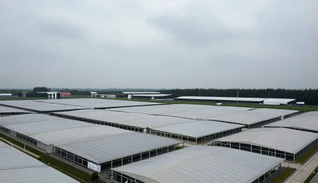 智能运维中的技术外包服务包性能解析与适用场景探讨
