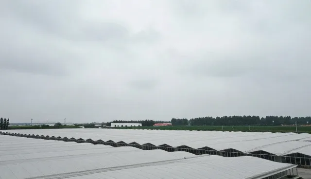 技术外包背景下交付质量如何支撑业务增长