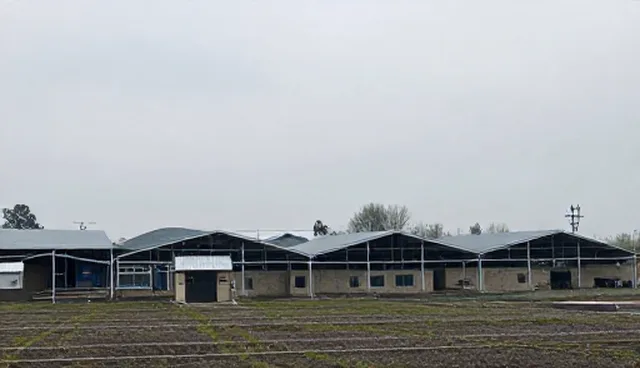 系统集成选型中培训体系的建设价值与实践路径